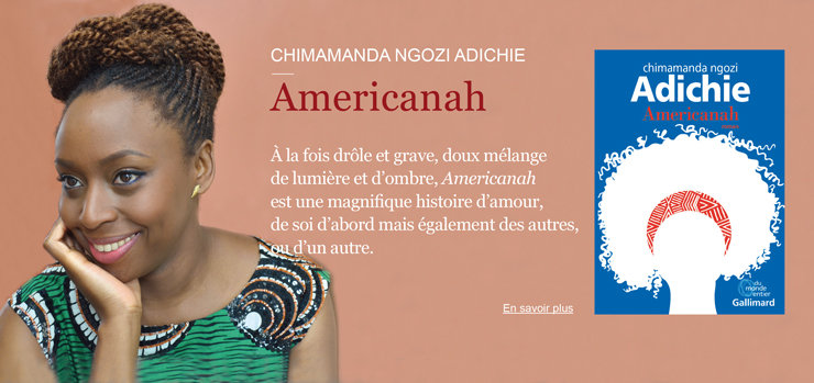 Chimamanda-Ngozi-Adichie-Americanah